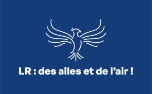 AilesAirLR Logo Blanc 1